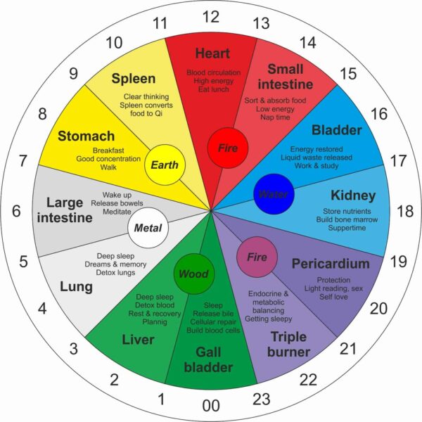 Meridians