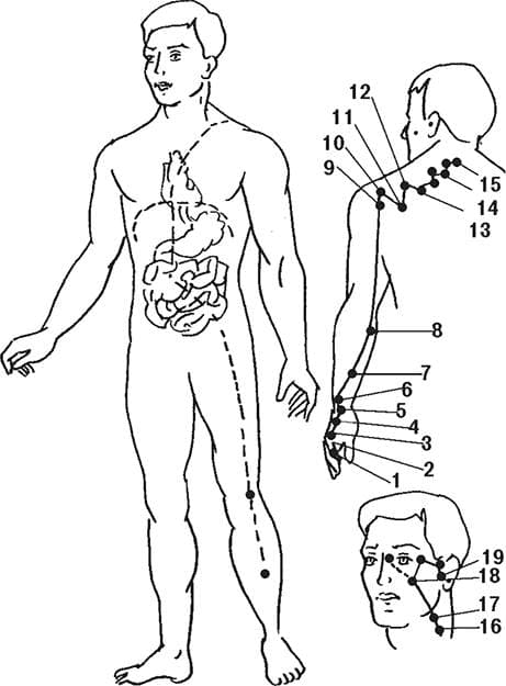 small-intestine-meridian