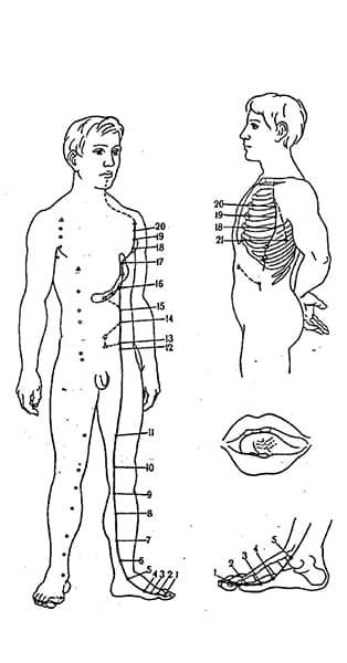 spleen-and-pancreas-meridian