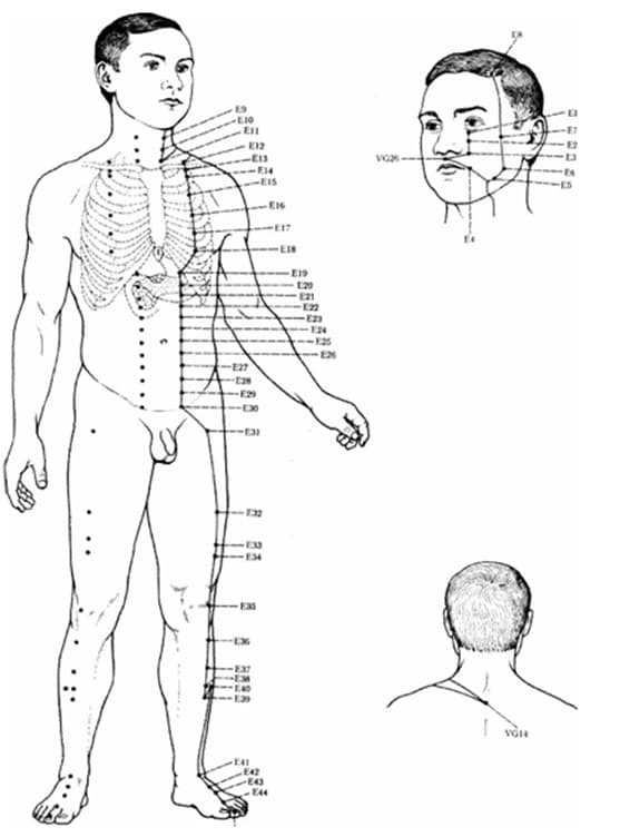 stomach-meridian