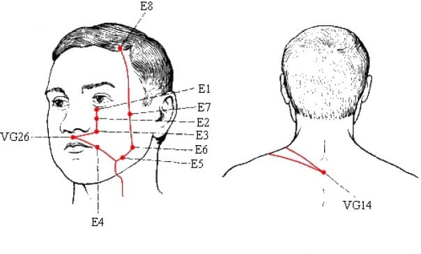 stomach-meridian2