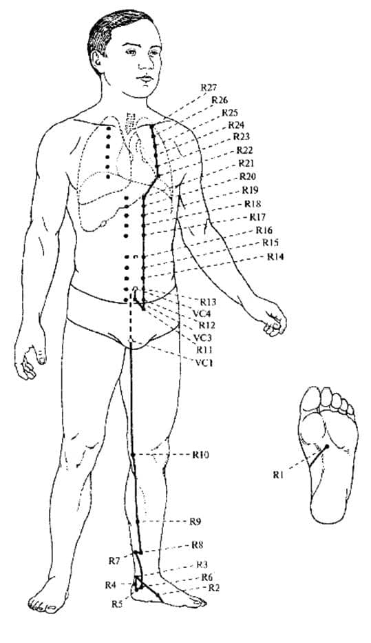 kidney meridian